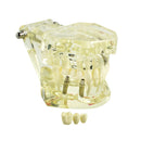 1pc Dental Implant Disease Teeth Model with Restoration & Bridge Tooth