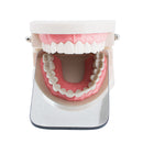 Dental Intraoral Orthodontic Photographic Glass Mirror