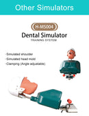 Dental Simulator Manikin Head Model