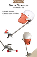 Dental Simulator Manikin Head Model