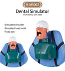 Dental Simulator Manikin Head Model