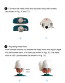 Dental Simulator Manikin Head Model