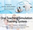 Dental Simulator Manikin Head Model
