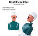 Dental Simulator Manikin Head Model