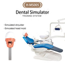 Dental Simulator Manikin Head Model